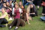 Thumbs/tn_Donderdag Castlefest 2015 026.jpg